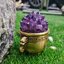 ก้อน ผลึก อเมทิส Amethyst พลอยแท้ อัญมณีมงคลประจําวันเกิด เครื่องประดับพลอย