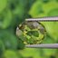 พลอย เพอริดอต Peridot 3.28 กะรัต (Cts.) พลอยแท้ อัญมณีมงคลประจําวันเกิด เครื่องประดับพลอย