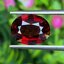 พลอย โกเมน Pyrope - Almandite Garnet 5.65 กะรัต (Cts.) พลอยแท้ อัญมณีมงคลประจําวันเกิด เครื่องประดับพลอย