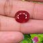 พลอย ทับทิม ซองเจีย (Songea Ruby Sapphire) 8.08 กะรัต (Cts.) พร้อมใบเซอร์ (With Certificate) พลอยแท้ อัญมณีมงคลประจําวันเกิด เครื่องประดับพลอย