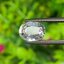 พลอย ขาว ไวท์ แซฟไฟร์ White Sapphire 2.08 กะรัต (Cts.) พลอยแท้ อัญมณีมงคลประจําวันเกิด เครื่องประดับพลอย