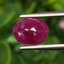 พลอย ทับทิม พม่า (Burmese Ruby Sapphire) 1.56 กะรัต พร้อมใบเซอร์ พลอยแท้ อัญมณีมงคลประจําวันเกิด เครื่องประดับพลอย