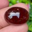 พลอย โกเมน Garnet 21.26 กะรัต (Cts.) พลอยแท้ อัญมณีมงคลประจําวันเกิด เครื่องประดับพลอย