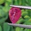 พลอย ทับทิม สยาม Siam Ruby sapphire 1.38 กะรัต (Cts.) พร้อมใบเซอร์ (With Certificate) พลอยแท้ อัญมณีมงคลประจําวันเกิด เครื่องประดับพลอย