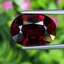พลอย โกเมน Pyrope - Almandite Garnet 9.33 กะรัต (Cts.) พร้อมใบเซอร์ พลอยแท้ อัญมณีมงคลประจําวันเกิด เครื่องประดับพลอย