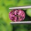 พลอย ทัวร์มารีน (Tourmaline) 1.63 กะรัต (Cts.) อัญมณีมงคลประจําวันเกิด เครื่องประดับพลอย