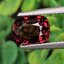 พลอย สปิเนล (Spinel) 2.32 กะรัต (Cts.) ดิบ (Unheated) พลอยแท้ อัญมณีมงคลประจําวันเกิด เครื่องประดับพลอย