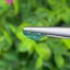 พลอย มรกต Natural Emerald แซมเบีย 1.11 กะรัต (Cts.) พลอยแท้ อัญมณีมงคลประจําวันเกิด เครื่องประดับพลอย