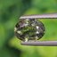 พลอย เขียวส่อง Green Sapphire 2.18 กะรัต (Cts.) พลอยแท้ อัญมณีมงคลประจําวันเกิด เครื่องประดับพลอย