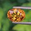 พลอย บุษราคัม yellow sapphire 2.66 กะรัต (Cts.) พลอยแท้ อัญมณีมงคลประจําวันเกิด เครื่องประดับพลอย