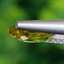 พลอย คริโซเบริล Chrysoberyl 1.31 กะรัต (Cts.) พลอยแท้ อัญมณีมงคลประจําวันเกิด เครื่องประดับพลอย