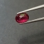พลอยทับทิม (Ruby) 1.35 กะรัต (Cts.) พลอยแท้ อัญมณีมงคลประจําวันเกิด เครื่องประดับพลอย
