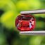 พลอย ทับทิม ซองเจีย Songea Ruby Sapphire 1.00 กะรัต (Cts.) พลอยแท้ อัญมณีมงคลประจําวันเกิด เครื่องประดับพลอย
