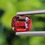 พลอย ทับทิม ซองเจีย Songea Ruby Sapphire 1.00 กะรัต (Cts.) พลอยแท้ อัญมณีมงคลประจําวันเกิด เครื่องประดับพลอย