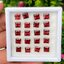 พลอย โกเมน Garnet 20 เม็ด (pcs.) 15.52 กะรัต (Cts.) พลอยแท้ อัญมณีมงคลประจําวันเกิด เครื่องประดับพลอย