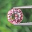 พลอย ทัวร์มาลีน Tourmaline 1.97 กะรัต (Cts.) พลอยแท้ อัญมณีมงคลประจําวันเกิด เครื่องประดับพลอย