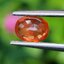 พลอย บุษราคัม Yellow Sapphire 0.95 กะรัต (Cts.) พลอยแท้ อัญมณีมงคลประจําวันเกิด เครื่องประดับพลอย