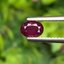 พลอย ทับทิม สยาม Siam Ruby sapphire 0.71 กะรัต พลอยแท้ อัญมณีมงคลประจําวันเกิด เครื่องประดับพลอย