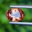พลอย ออเรนจ์ แซฟไฟร์ Orange Sapphire 1.65 กะรัต (Cts.) พลอยแท้ อัญมณีมงคลประจําวันเกิด เครื่องประดับพลอย