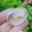 โป่งข่าม ควอตซ์ Rutilated Quartz 63.46 กะรัต Cts. พลอยแท้ อัญมณีมงคลประจําวันเกิด เครื่องประดับพลอย
