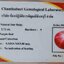 พลอย ทับทิม สตาร์ แซฟไฟร์ Ruby Star Sapphire 5.72 กะรัต (Cts.) ดิบ Unheated พร้อมใบเซอร์ พลอยแท้ อัญมณีมงคลประจําวันเกิด เครื่องประดับพลอย
