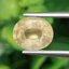 พลอย บุษราคัม yellow sapphire 2.65 กะรัต (Cts.) ดิบ พลอยแท้ อัญมณีมงคลประจําวันเกิด เครื่องประดับพลอย