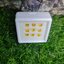 พลอย บุษราคัม yellow sapphire 3.48 กะรัต (Cts.) 9 เม็ด (Pcs.) พลอยแท้ อัญมณีมงคลประจําวันเกิด เครื่องประดับพลอย