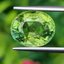 พลอย กรีน ทัวร์มารีน (Green Tourmaline) 6.80 กะรัต (Cts.) อัญมณีมงคลประจําวันเกิด เครื่องประดับพลอย