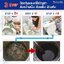 หัวเชื้อจุลินทรีย์ กำจัดกลิ่นเหม็น ใน 1 นาที ย่อยสลายไขมัน ชนิดผง Odor Extra 100 g.(เฉลี่ยลิตรละ 2.25 บาท)