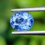 พลอย ไพลิน blue sapphire 0.87 กะรัต (Cts.) พลอยแท้ อัญมณีมงคลประจําวันเกิด เครื่องประดับพลอย
