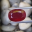 พลอย ทับทิม Ruby sapphire 12.50 กะรัต (Cts.) พลอยแท้ อัญมณีมงคลประจําวันเกิด เครื่องประดับพลอย