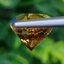 พลอย ซิทริน Citrine 6.94 กะรัต (Cts.) พลอยแท้ อัญมณีมงคลประจําวันเกิด เครื่องประดับพลอย