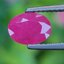 พลอย ทับทิม พม่า (Burmese Ruby Sapphire) 1.37 กะรัต พลอยแท้ อัญมณีมงคลประจําวันเกิด เครื่องประดับพลอย