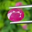 พลอย ทับทิม พม่า (Burmese Ruby Sapphire) 2.00 กะรัต พร้อมใบเซอร์ พลอยแท้ อัญมณีมงคลประจําวันเกิด เครื่องประดับพลอย