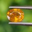พลอย บุษราคัม yellow sapphire 1.07 กะรัต (Cts.) พลอยแท้ อัญมณีมงคลประจําวันเกิด เครื่องประดับพลอย