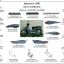 ชุดพลาสติกและเฟรมสี ดรีม125ปี2002-2006 ทุกสี