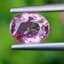 พลอย ชมพู พิ้ง แซฟไฟร์ Pink Sapphire 1.01 กะรัต (Cts.) พร้อมใบเซอร์ พลอยแท้ อัญมณีมงคลประจําวันเกิด เครื่องประดับพลอย