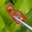อำพัน แกะสลัก พญาตัวต่อ Wasp Natural Amber พลอยแท้ อัญมณีมงคลประจําวันเกิด เครื่องประดับพลอย