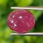 พลอย ทับทิม (Ruby Sapphire) 14.09 กะรัต (Cts.) พลอยแท้ อัญมณีมงคลประจําวันเกิด เครื่องประดับพลอย