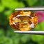 พลอย มาลี การ์เน็ท Mali Garnet 3.98 กะรัต Cts. พลอยแท้ อัญมณีมงคลประจําวันเกิด เครื่องประดับพลอย