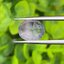 พลอย ขาว ไวท์ แซฟไฟร์ White Sapphire 2.88 กะรัต ดิบ Unheated พลอยแท้ อัญมณีมงคลประจําวันเกิด เครื่องประดับพลอย