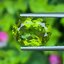 พลอย เพอริดอต Peridot 4.76 กะรัต (Cts.) พลอยแท้ อัญมณีมงคลประจําวันเกิด เครื่องประดับพลอย