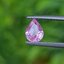 พลอย ชมพู พิ้ง แซฟไฟร์ Pink Sapphire 0.78 กะรัต (Cts.) พลอยแท้ อัญมณีมงคลประจําวันเกิด เครื่องประดับพลอย