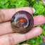 อำพัน พม่า แกะสลักรูป Bi-disc Burmese Amber 31.98 กะรัต อัญมณีมงคลประจําวันเกิด เครื่องประดับพลอย