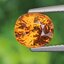 พลอย บุษราคัม yellow sapphire 3.19 กะรัต (Cts.) พร้อมใบเซอร์ พลอยแท้ อัญมณีมงคลประจําวันเกิด เครื่องประดับพลอย