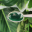 หยก พม่า แท้ Jade แหวนหยก 翡翠戒指 (Jadeite ring) ดิบ (Size) 58 ไม่ผ่านการปรับปรุง (Type A) พม่า (Myanmar)