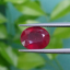 พลอย ทับทิม Ruby sapphire 4.00 กะรัต (Cts.) VS พลอยแท้ อัญมณีมงคลประจําวันเกิด เครื่องประดับพลอย
