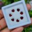 พลอย โกเมน Garnet 7 เม็ด (pcs.) 3.54 กะรัต (Cts.) พลอยแท้ อัญมณีมงคลประจําวันเกิด เครื่องประดับพลอย