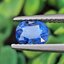พลอย ไพลิน (Blue Sapphire) 1.04 กะรัต (Cts.) พลอยแท้ อัญมณีมงคลประจําวันเกิด เครื่องประดับพลอย