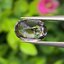 พลอย สปิเนล Spinel 1.50 กะรัต (Cts.) พลอยแท้ อัญมณีมงคลประจําวันเกิด เครื่องประดับพลอย